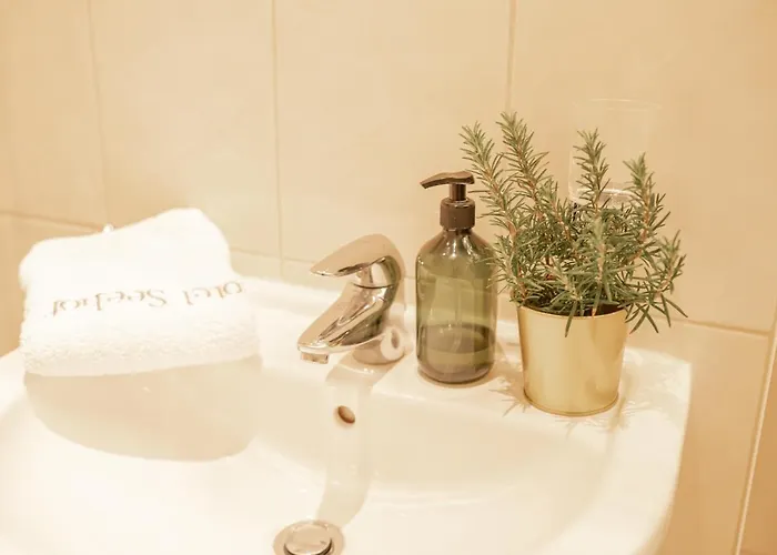 Hotel Seehof Ohg Norderney